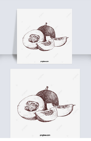 季节性水果哈密瓜线描