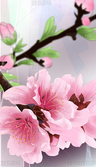 鲜花屏保插画|桃花插画手绘鲜花