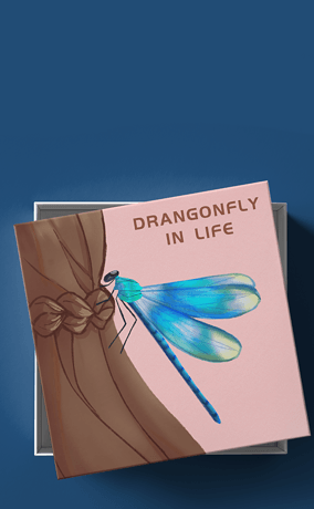 小清新蓝色系蜻蜓