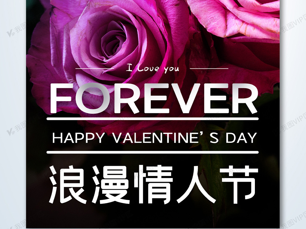 二月十四情人节创意时尚摄影图海报