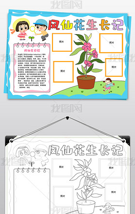 原创植物生长记录手抄报凤仙花生长记手抄报设计模板-版权可商用