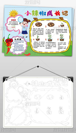 辣椒成长记植物成长记观察日记小报手抄报