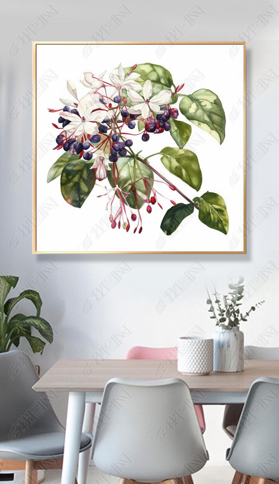 Clerodendrum trichotomum Thunbϸĸˮʻ