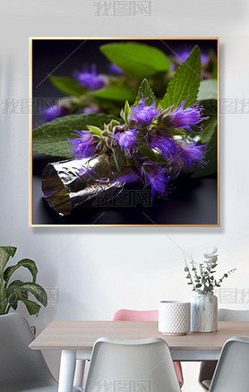 Caryopteris incanaĹѧħ