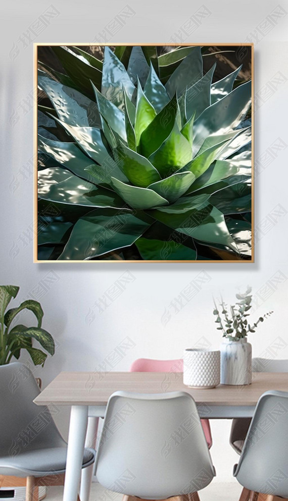 ͸Aloe Veraɫ