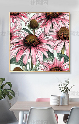 ˮʷӤͼEchinacea