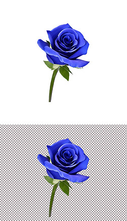 蓝玫瑰蓝色520爱情花朵情人节日鲜花(7)