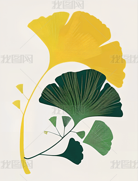 Ginkgo biloba leaf flower vector art for your next project廭ͼ