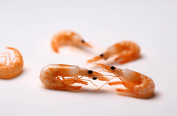 纯白色背景下的海鲜调味品干虾皮虾米图片 (11)高清摄影图