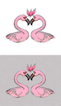 火烈鸟天鹅脖子围成爱心形状心形爱情(1)