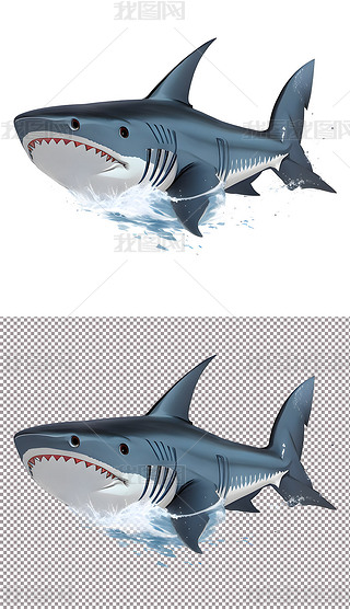 鲨鱼海洋动物海底生物霸主