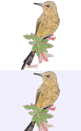 黄色小鸟回头看铅笔画插画彩铅画免抠元素