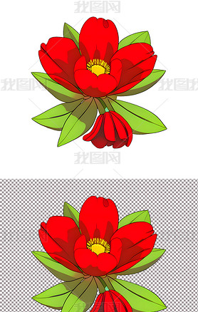 小红花红色花朵植物鲜花(1)