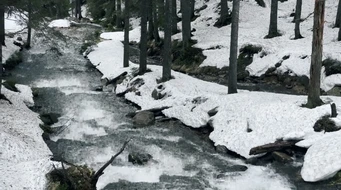 银行流水实拍视频|蒸汽中的清水质地。流水湍急，林间河岸积雪。