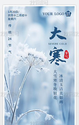 原创简约冬天雪景中国传统24节气大寒海报