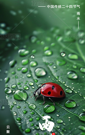 中国传统二十四节气雨水节气瓢虫叶子露珠春天海报