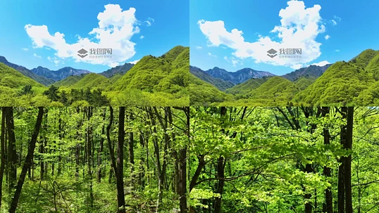 4K����ɭ��ɽ������Ψ���⾳�ྵͷ