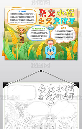 原创杂交水稻之父袁隆平手抄报袁隆平手抄报-版权可商用