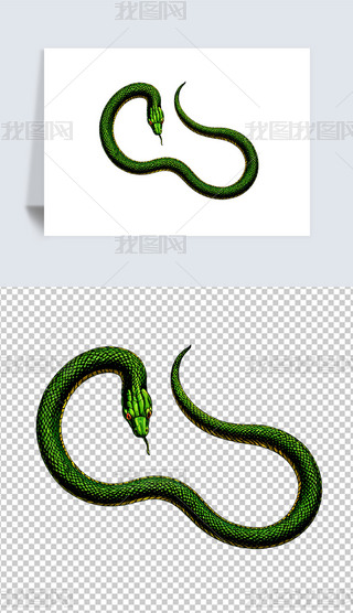 可爱绿色黄色响尾蛇插画海报免抠png透明图片素材
