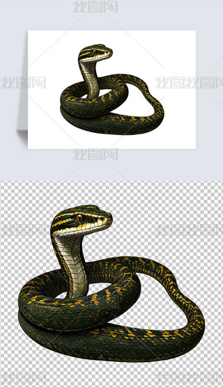 可爱绿色黄色响尾蛇插画海报免抠png透明图片素材