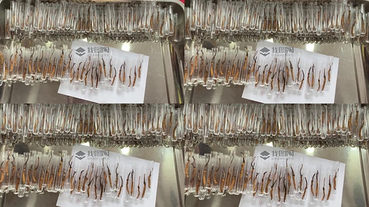 �����Ĳ�ʵ����Ƶ