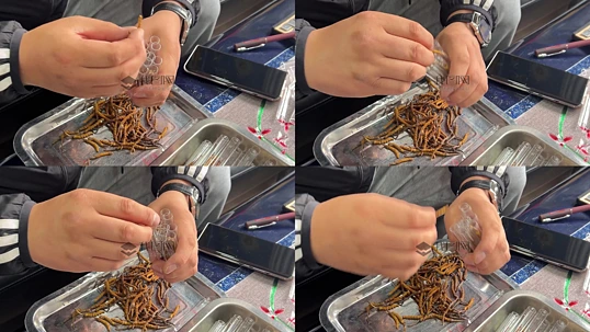 �����Ĳ�ʵ����Ƶ