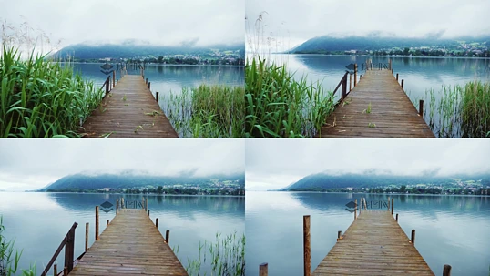 ��Ȼ���ʵ����Ƶ