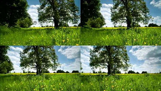 ���ݵ�mp4ʵ����Ƶ