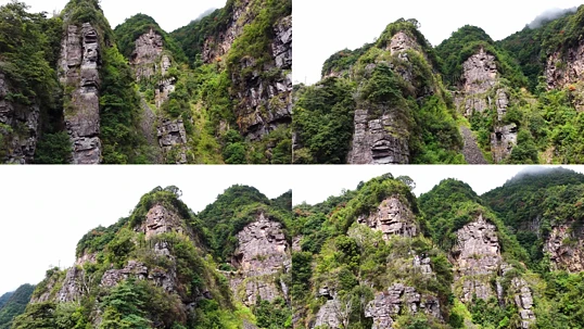 ʵ����Ƶ��˹�ص�ò��Ȼ����