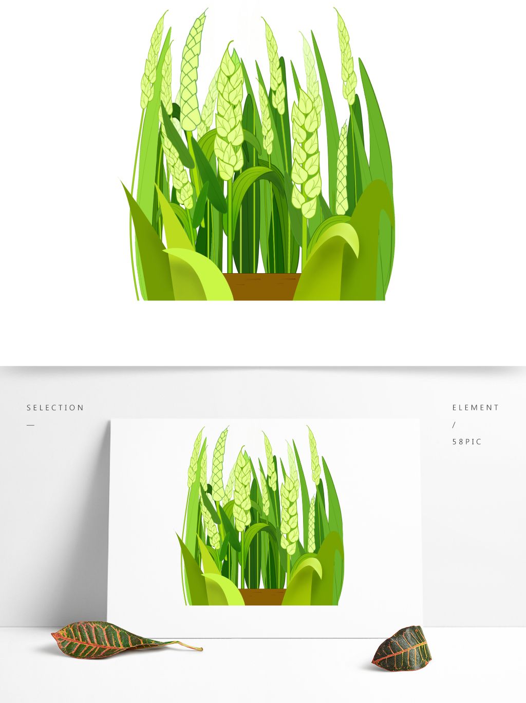 手绘麦穗绿色田园清新风插画