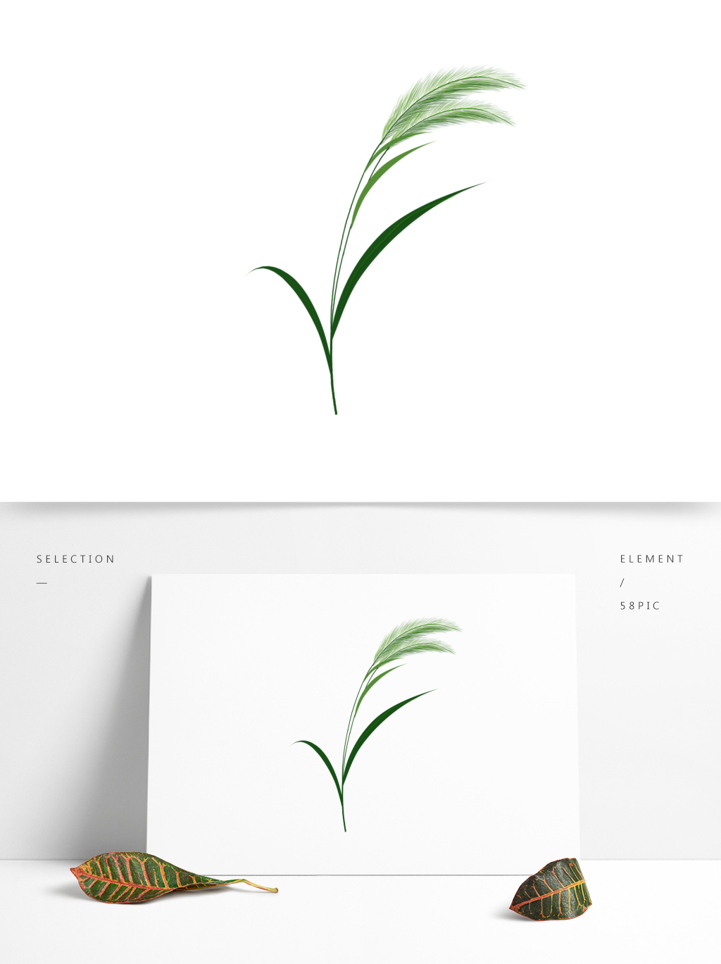 原创狗尾巴草绿色手绘植物元素