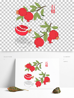 水果籽免抠元素|手绘卡通水果红石榴植物美食石榴籽素材