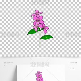 ʸܷɫֲflower