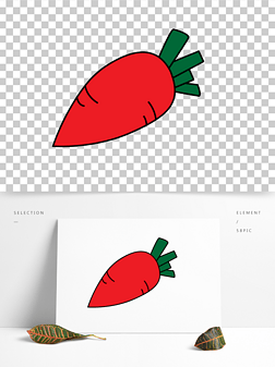 大萝卜 胡萝卜 红萝卜