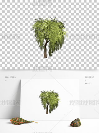 柳树手绘平面图专题模板-柳树手绘平面图图片素材下载-我图网