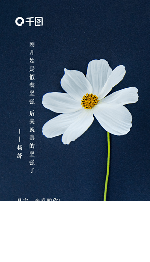 一句名言的启示作文500字_名言启示作文字500字左右_名言启示的作文