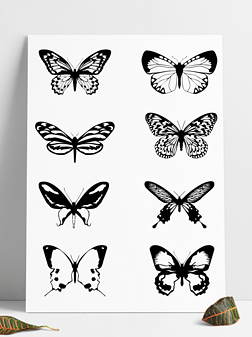 蝴蝶图案 蝴蝶 昆虫 飞虫 装饰图案