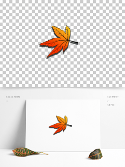 枫叶红黄秋天手绘元素插画花草卡通可爱叶子