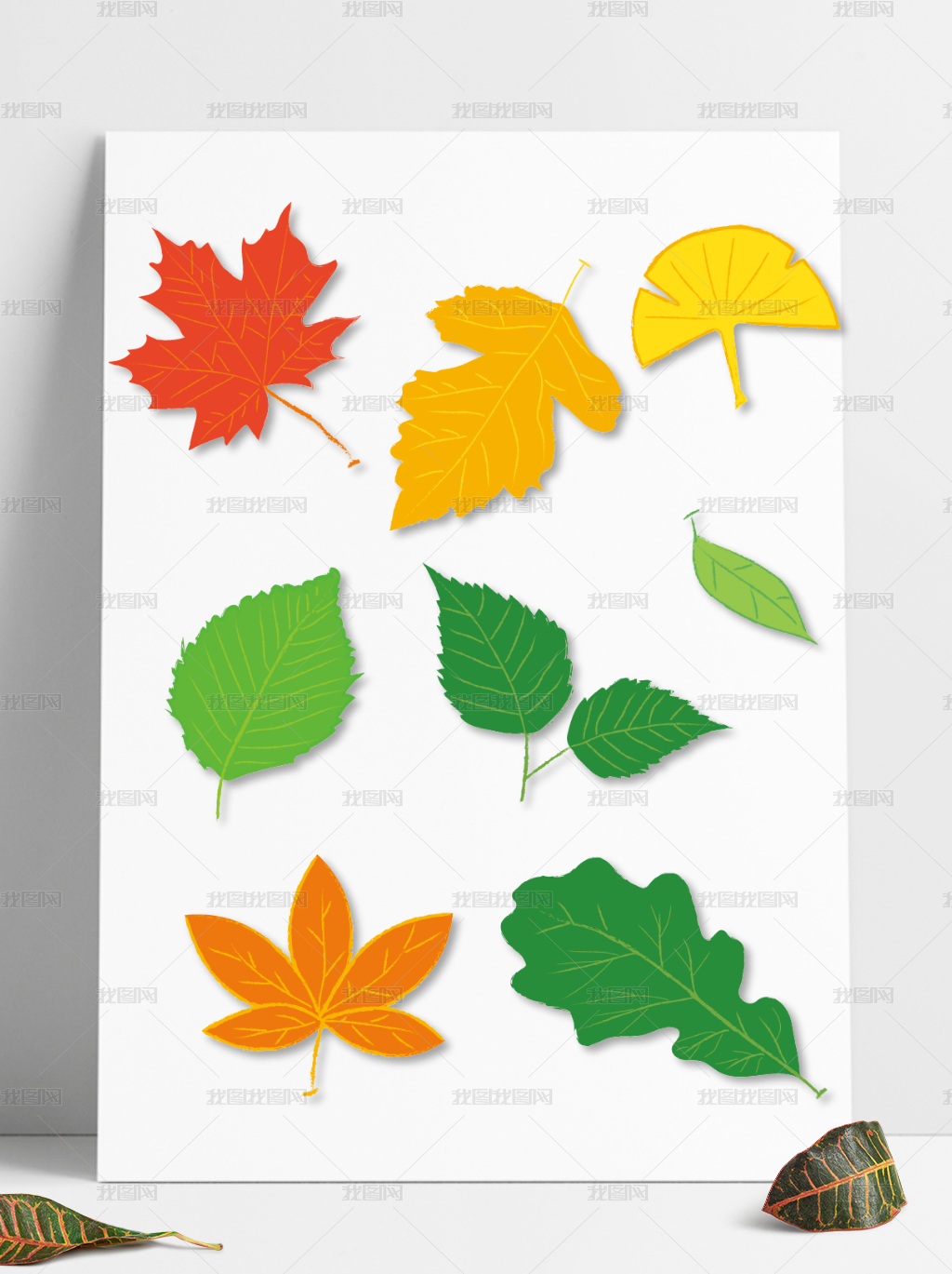 手绘矢量树叶红叶枫叶银杏叶子装饰元素图片素材模板下载 动植物 我图网