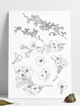 樱花梅花花枝黑白手绘线稿插画国风元素组合
