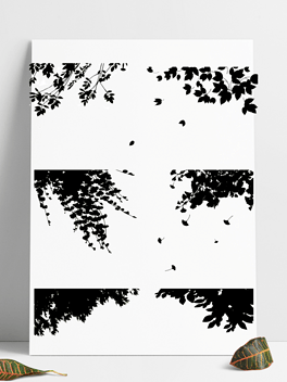 光影植物树叶投影