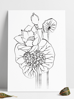 矢量黑白水墨画手绘荷花莲子