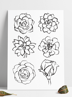 黑白书法矢量图免抠元素|矢量手绘水墨画多肉玫瑰花