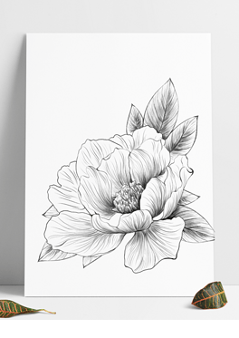 原创手绘黑白牡丹花