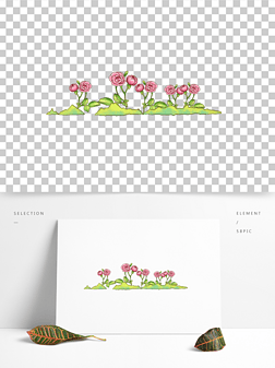 蔷薇花植物插图儿童插画