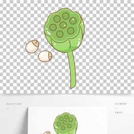 莲子简笔画简单图片