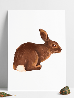 兔子尾巴动图免抠元素|森林兔子卡通插画