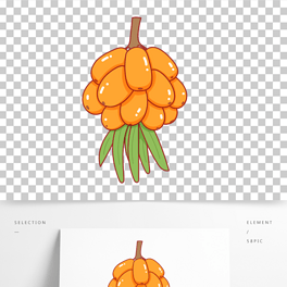 简笔画水果下载排行榜