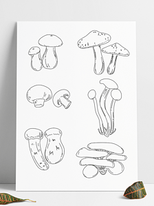 松茸菌菇免抠元素|手绘插画松茸牛肝菌茶树菇平菇口蘑蘑菇线稿