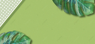 绿色质感创意波点棕榈叶背景